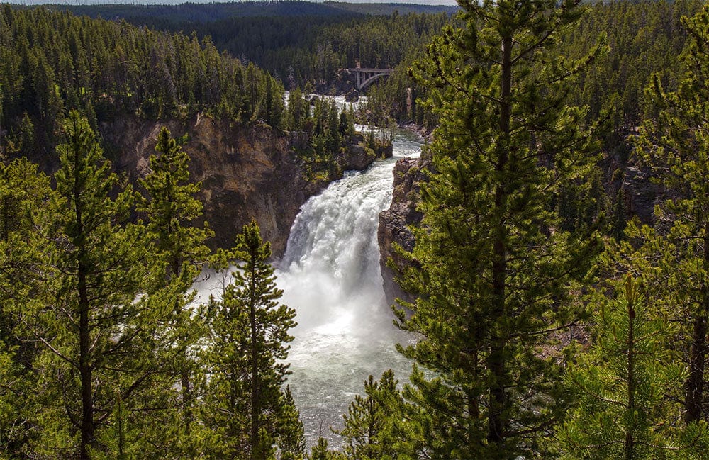 Majestic Forest Waterfall Scenic Mural Wallpaper - Lush Green Landscape Design
