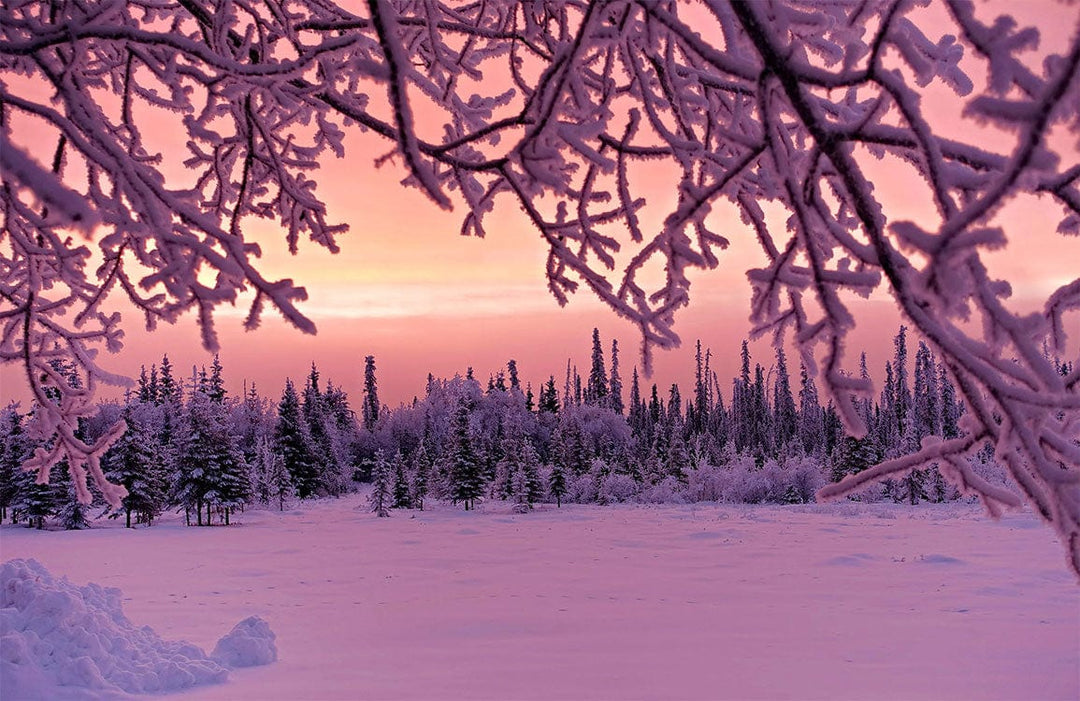 Elegant Frosted Winter Scene Purple-Pink Landscape Wallpaper Mural Decor