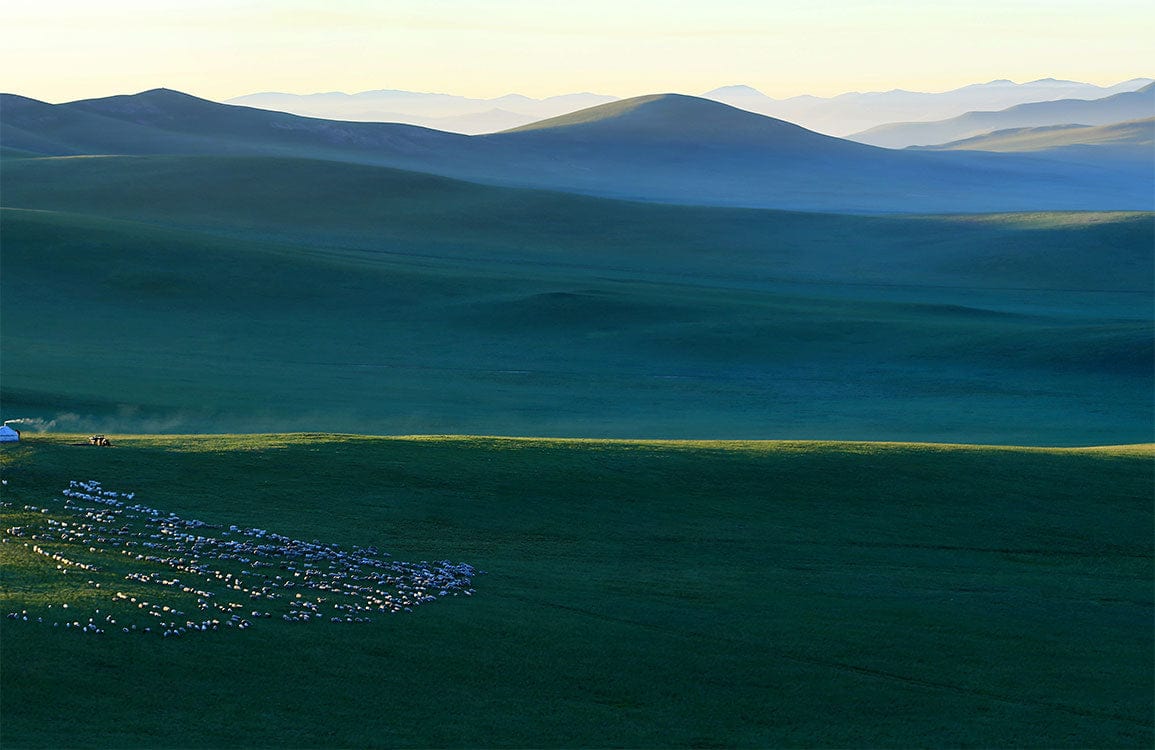 Serene Green Landscape Mural Wallpaper: Mountains, Hills and Grazing Flock