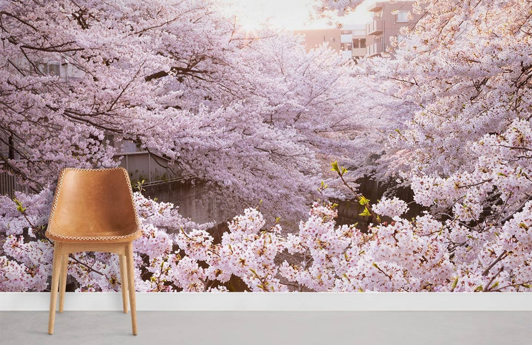 Elegant pink blossom mural wallpaper in serene setting, featuring cherry blossom design with modern chair.