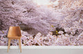Sakura Season Wallpaper Mural