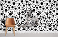 Spotted Dog Wallpaper Mural