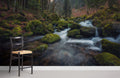 Forest Streams Wallpaper Mural