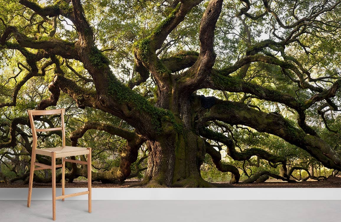 Majestic oak tree mural wallpaper, wooden chair, neutral flooring, serene atmosphere in living room.