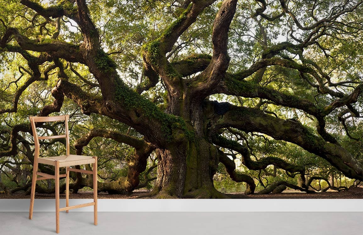 meandering centennial huge tree wall murals for home
