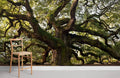 Meandering Huge Tree Wallpaper Mural