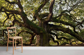 Meandering Huge Tree Wallpaper Mural