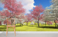 Sunny Garden Wallpaper Mural