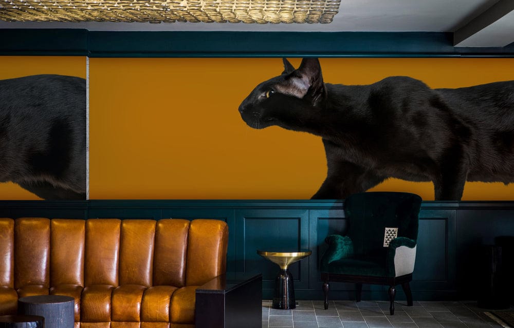 Mystical black cat silhouette wallpaper; warm mustard background with dark teal panelling and brown sofa.
