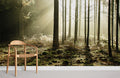3D Sunshine Forest Wallpaper Mural