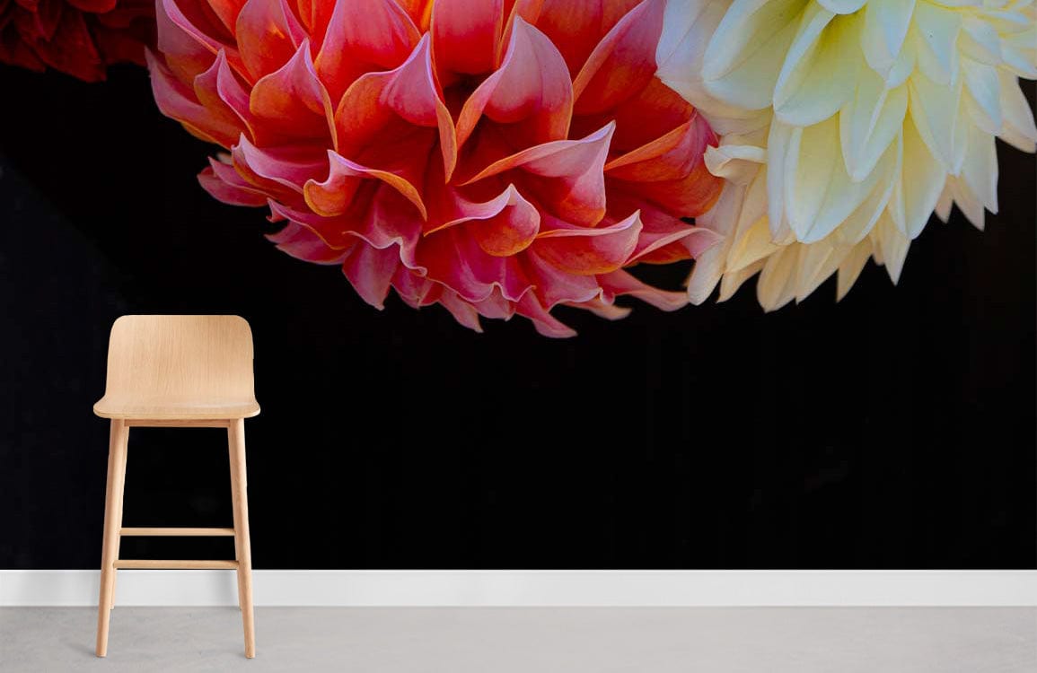 Elegant Dahlia Blooms floral wallpaper in vibrant pink and cream, wooden stool, grey flooring.
