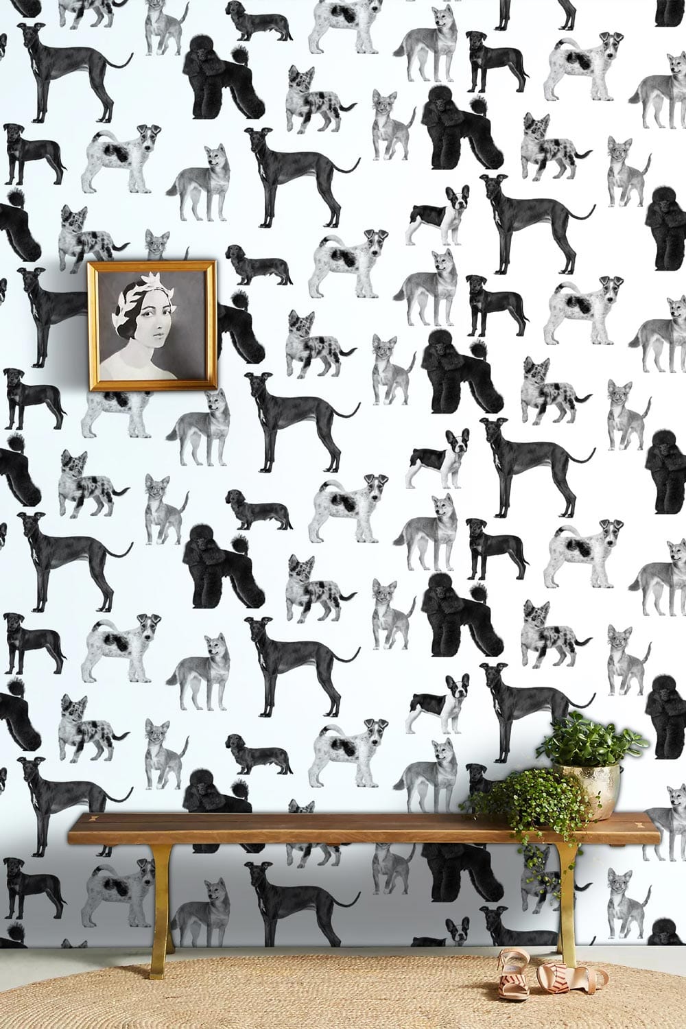 Monochrome Dog Silhouette Wallpaper, stylish black and white, elegant bench, textured rug, portrait decor.