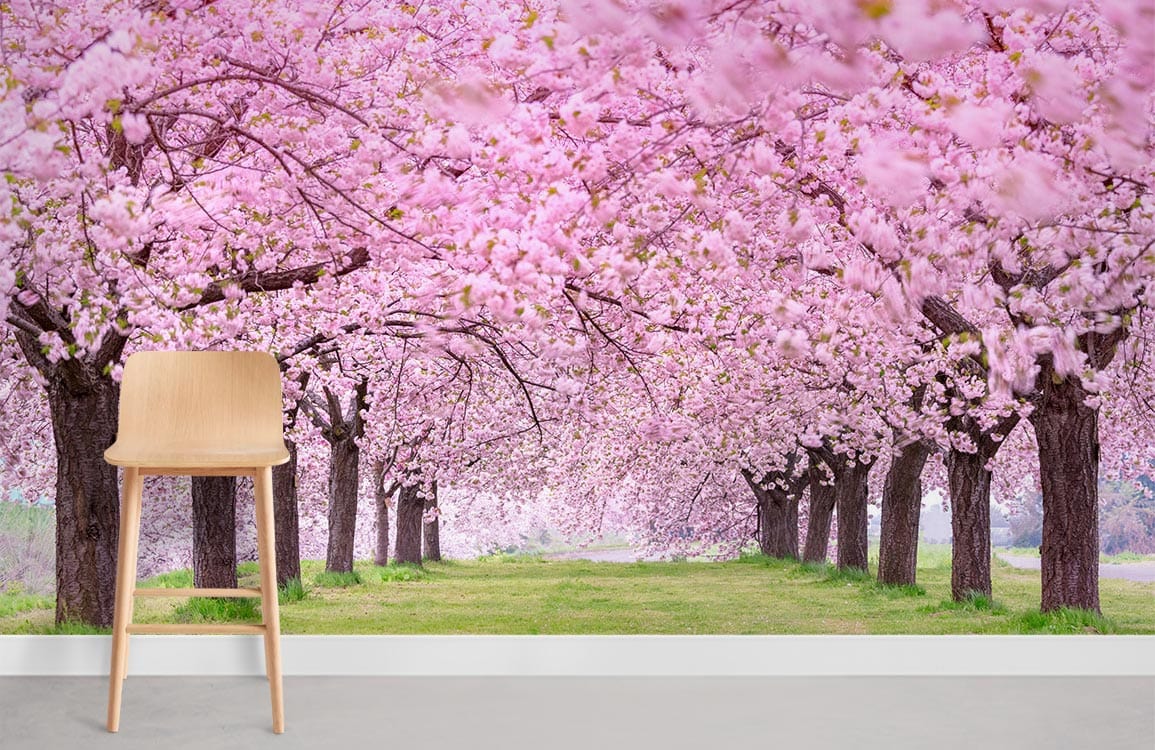 Sakura Forest Wallpaper Mural