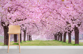 Sakura Forest Wallpaper Mural