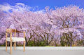 Sakura Sea Wallpaper Mural