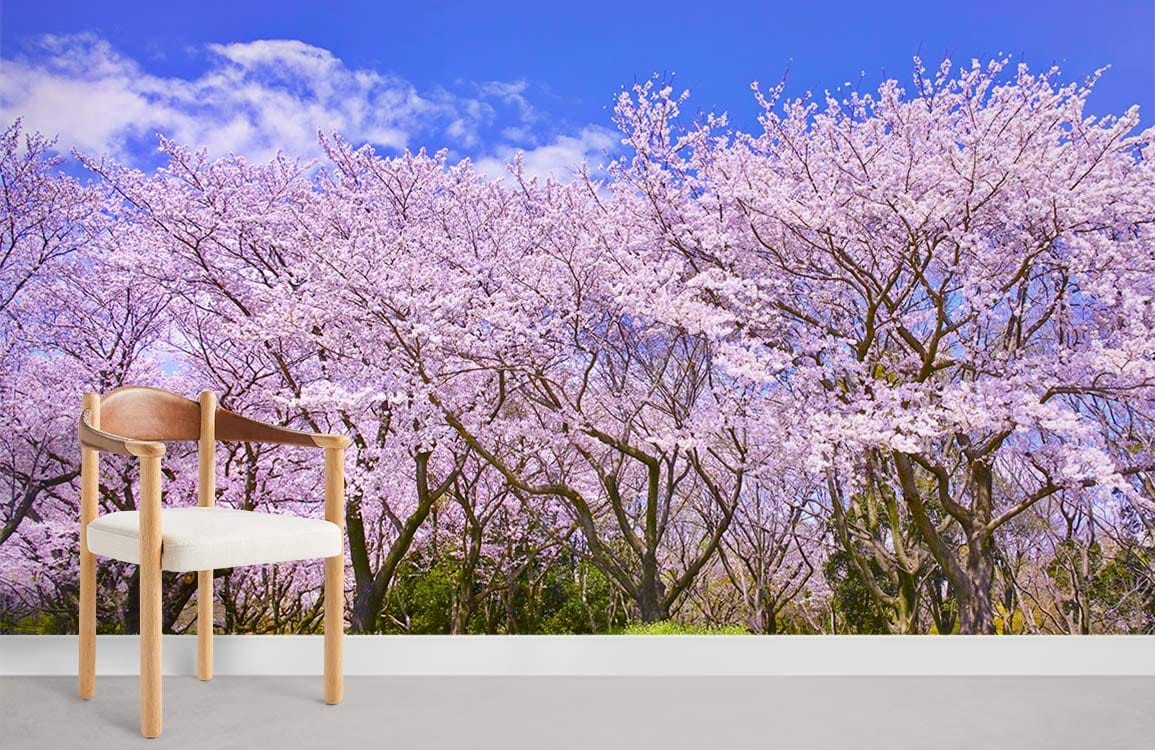 Elegant Cherry Blossom Mural Wallpaper with wooden chair on grey floor, vibrant pink and green design.