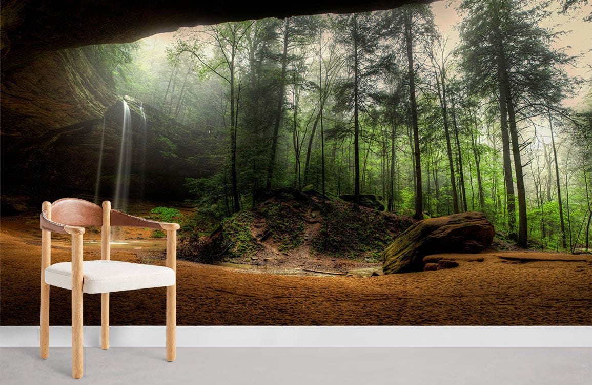 vibrant forest in sinkhole wall murals for home