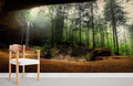 Plants in Sinkhole Wallpaper Mural