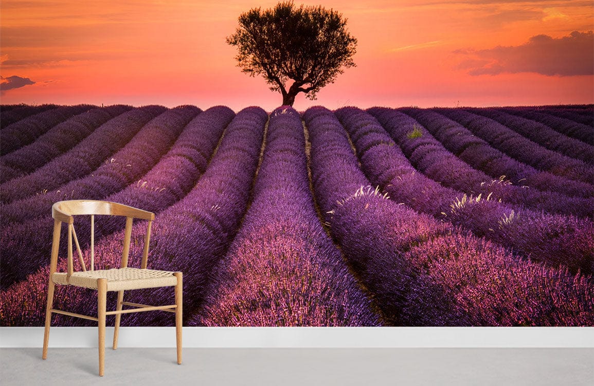 Lavender Fields Wallpaper Mural