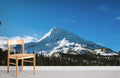 Forest Mountain Wallpaper Mural