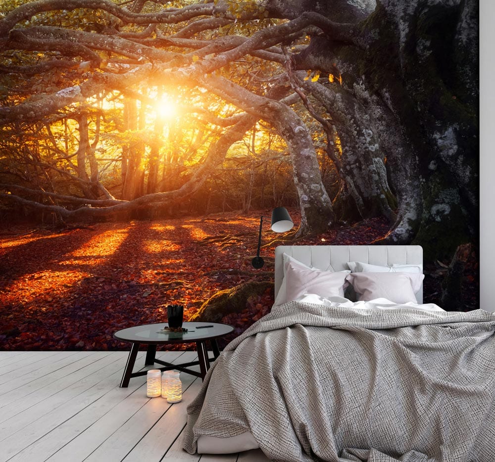 Enchanted Forest Autumn Glow Mural with sunlit tones, cosy bedroom, modern grey bed, wood flooring.