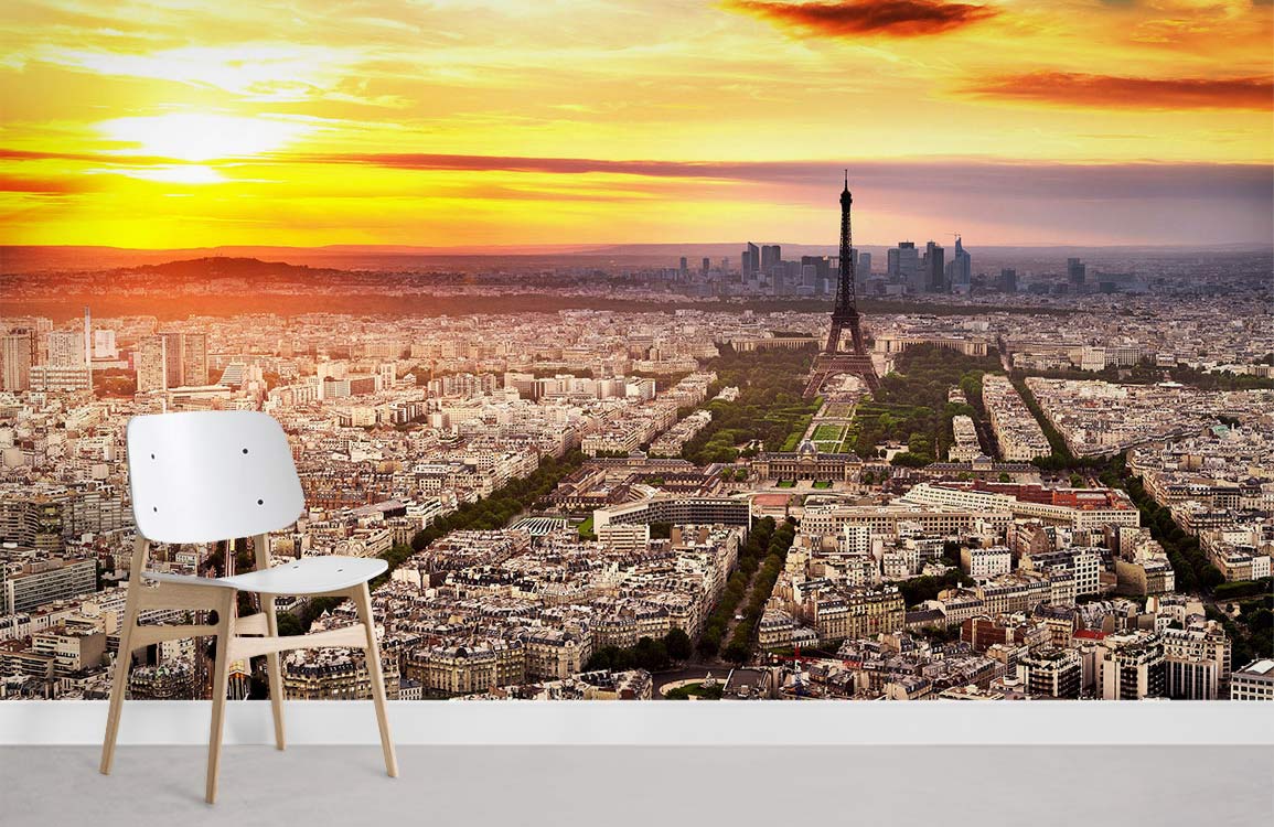 beautiful overview of Paris wall murals for home