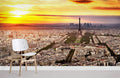 Panorama of Paris Wallpaper Mural