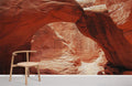 Animal Shaped Canyon Wallpaper Mural