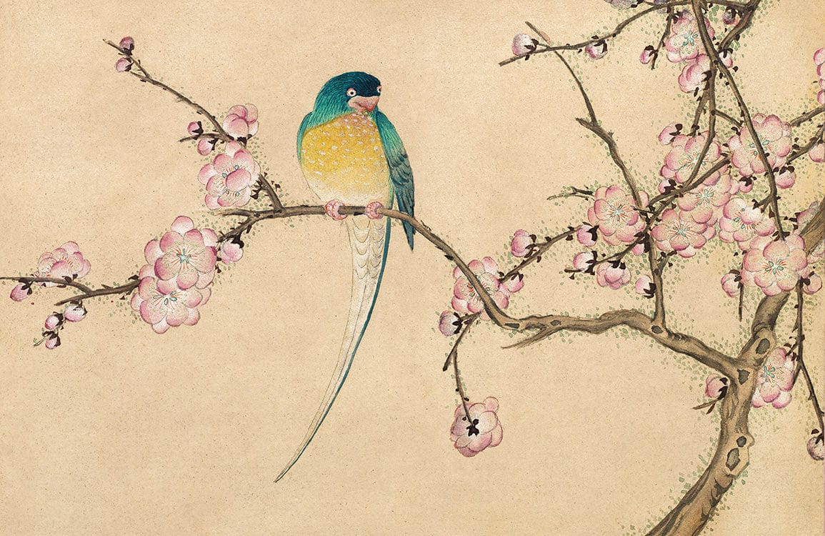 Elegant Vintage Bird and Blossom Mural Wallpaper in Soft Pastel Colours