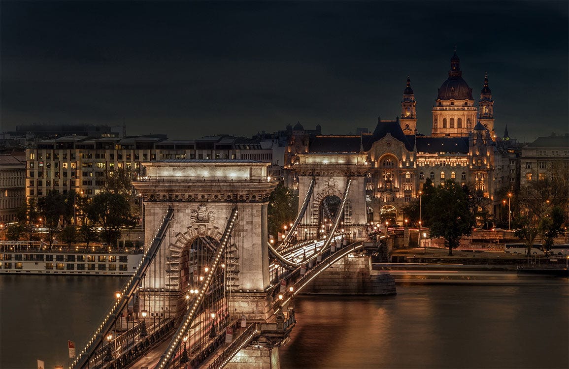 Illuminated Night Cityscape Bridge Mural Wallpaper in Rich Earthy Tones