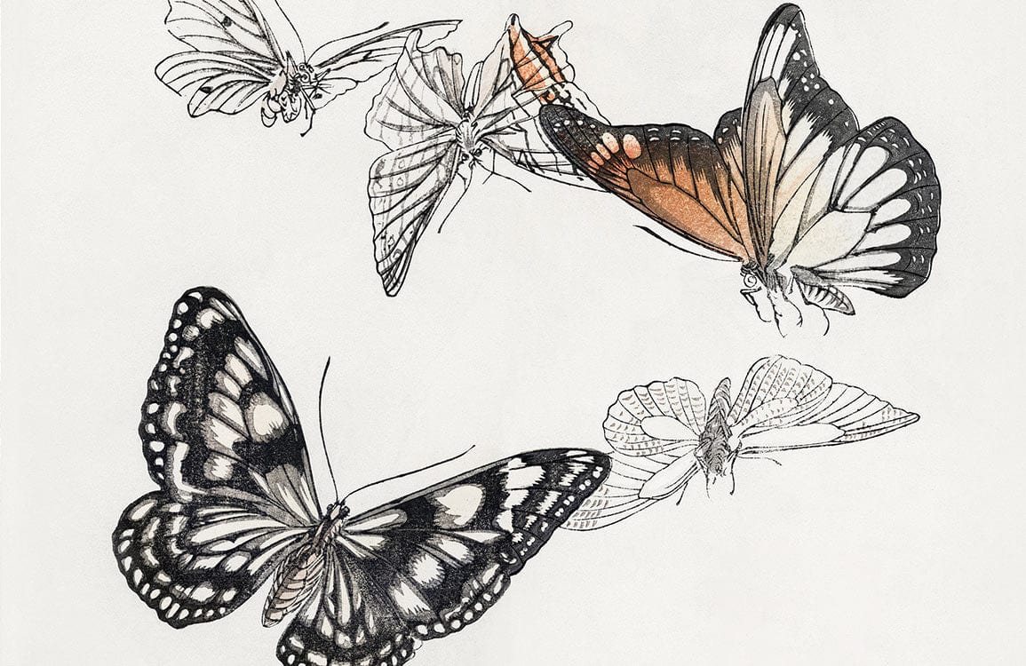 Elegant Black and White Butterfly Mural Wallpaper in Vintage Style Design
