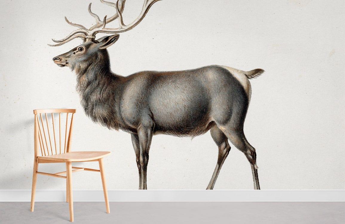 Vintage Antlered Stag Wallpaper with wooden chair, neutral wall, and grey flooring in living room.