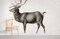 European Elk Wallpaper Mural