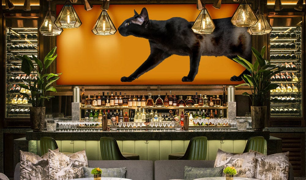 Mystical Black Cat Silhouette Wallpaper in stylish bar setting with modern bar counter and seating.