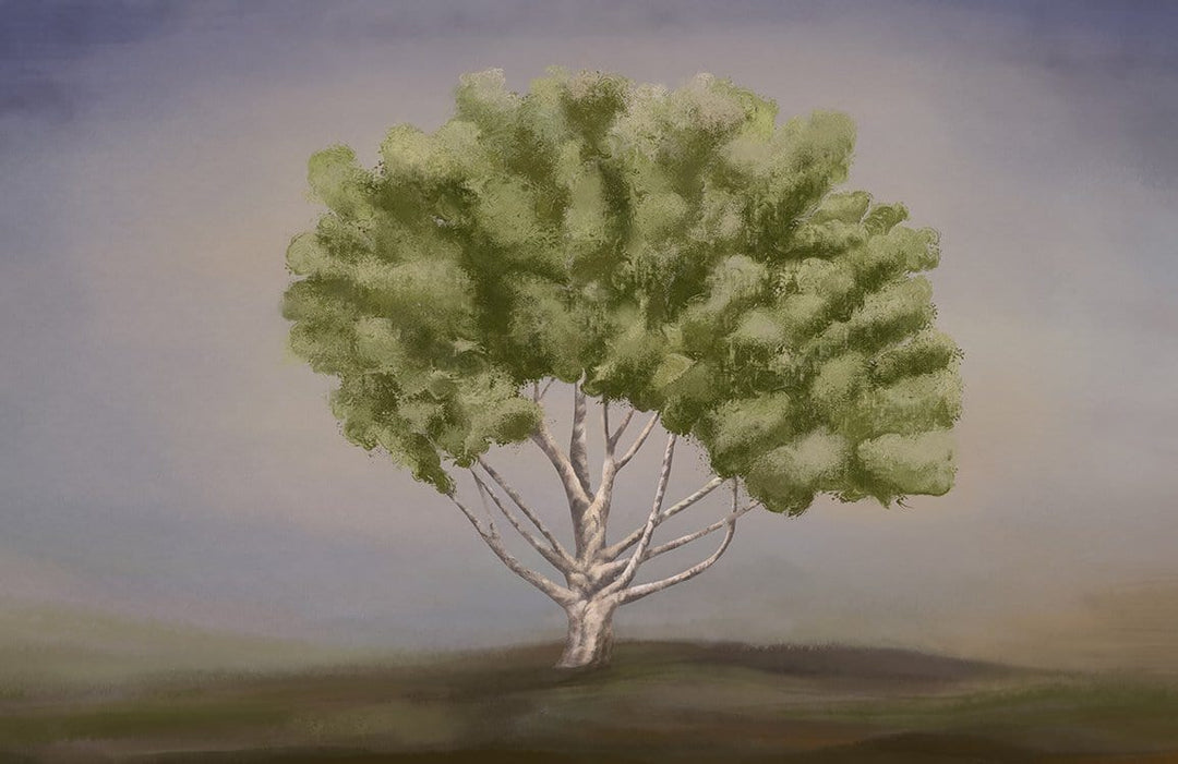 Lush Green Tranquil Tree Mural Wallpaper - Nature-Inspired Interior Décor