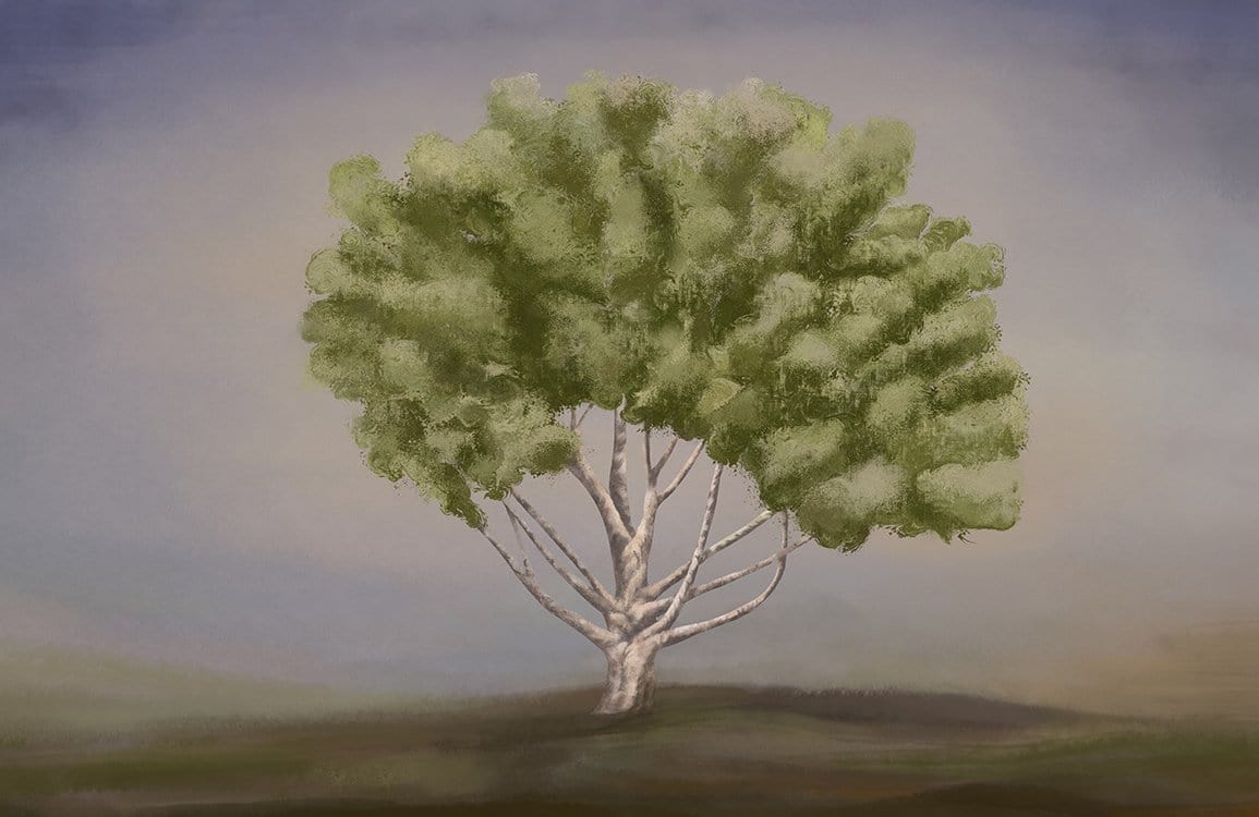 Lush Green Tranquil Tree Mural Wallpaper - Nature-Inspired Interior Décor