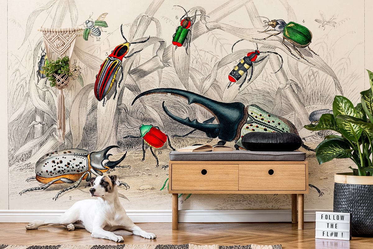 Vintage Botanical Beetle Illustration Wallpaper with colourful insects, wooden bench, and dog on wood flooring.