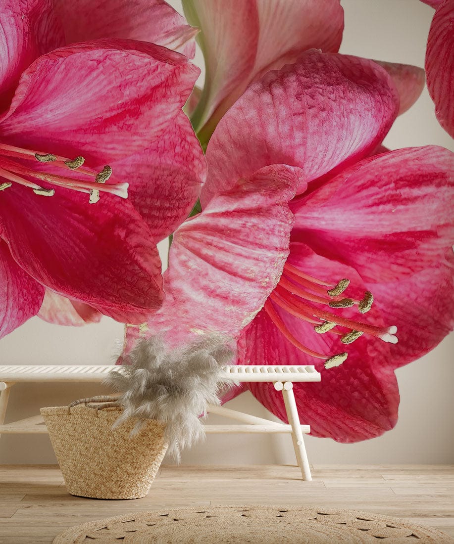Vibrant pink floral mural wallpaper in modern living room, with beige flooring and decorative wicker basket.