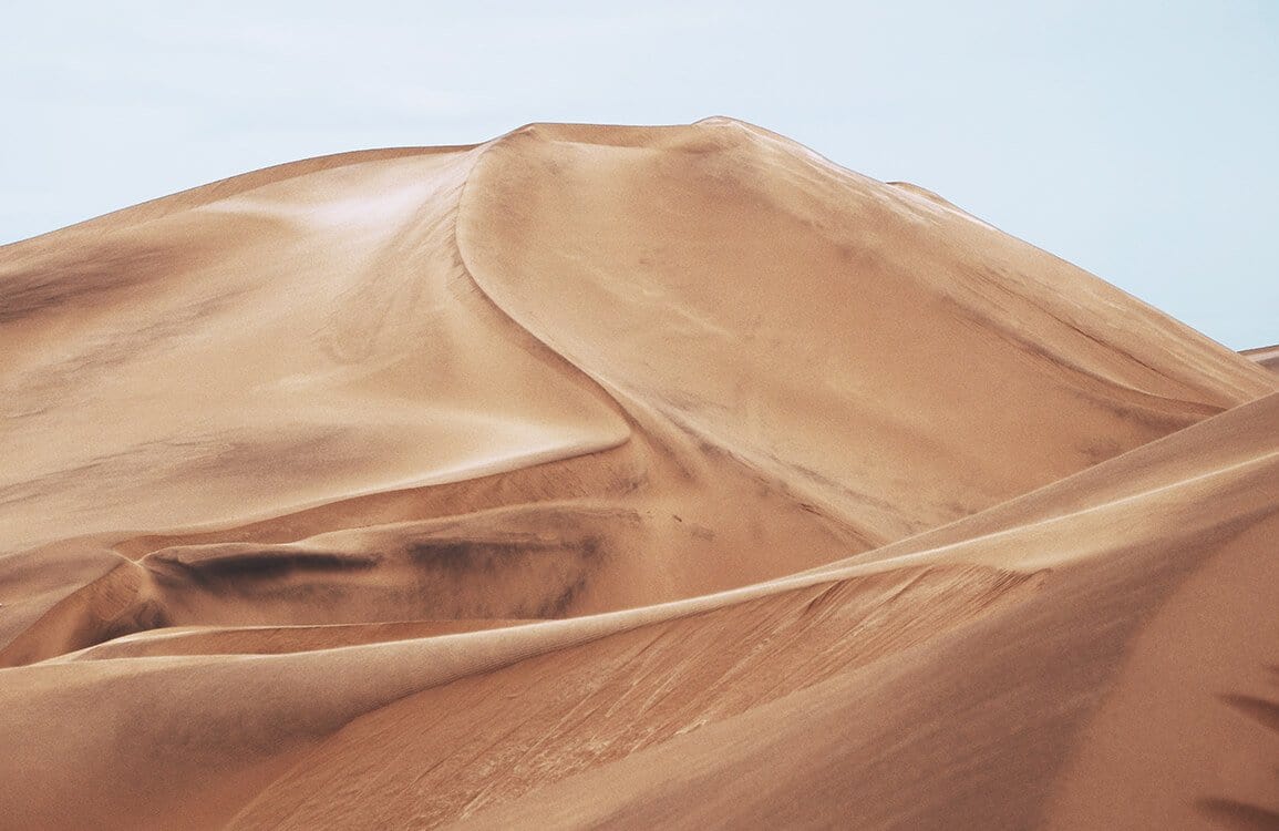 Natural Desert Sand Dune Landscape Mural Wallpaper in Earthy Tones
