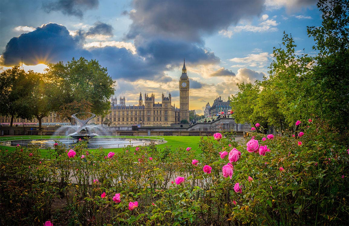 London Serenity Mural Wallpaper: Pink Floral Garden and Iconic Skyline View