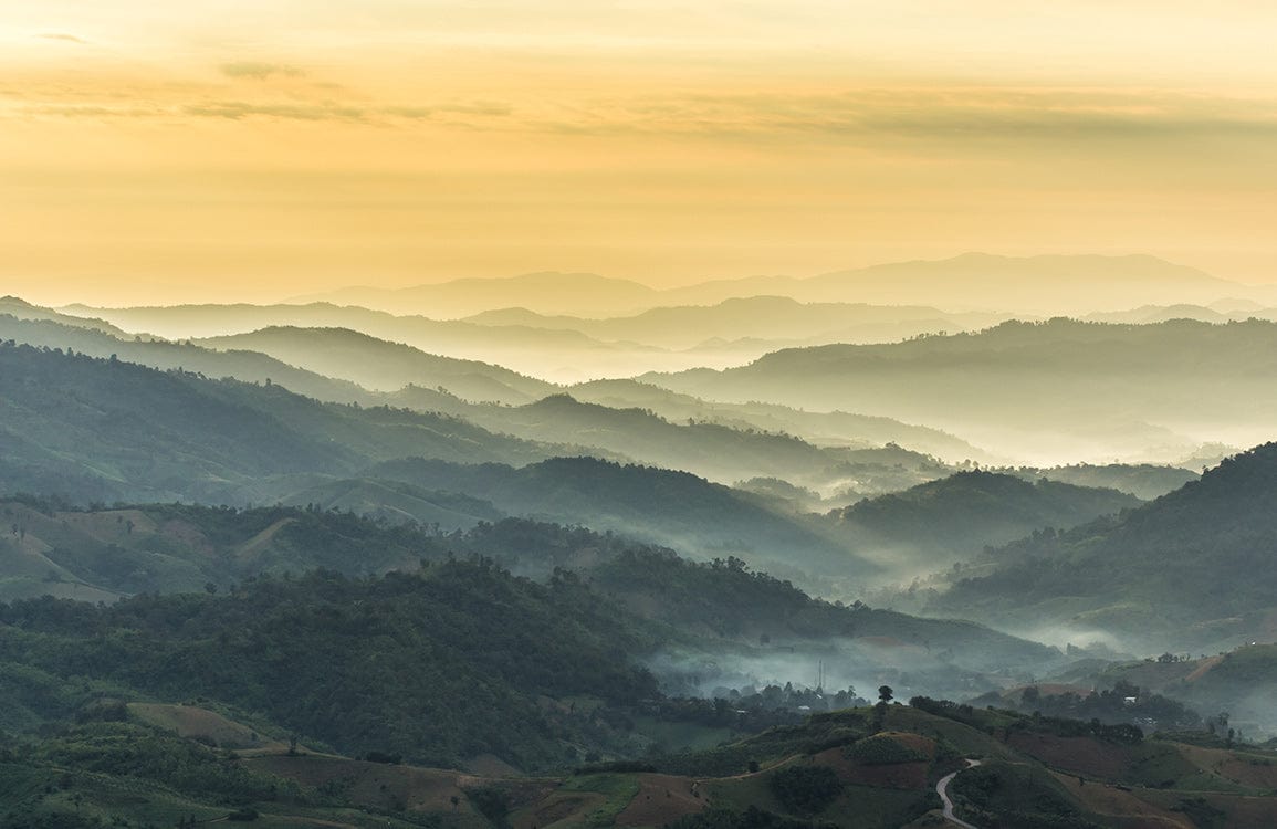 Tranquil Misty Mountains Scenic Mural Wallpaper in Calming Earthy Tones