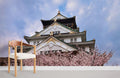 Osaka Palace Wallpaper Mural