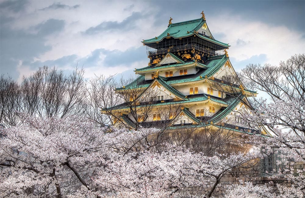 Serene Japanese Castle and Cherry Blossom Scenic Mural Wallpaper Art