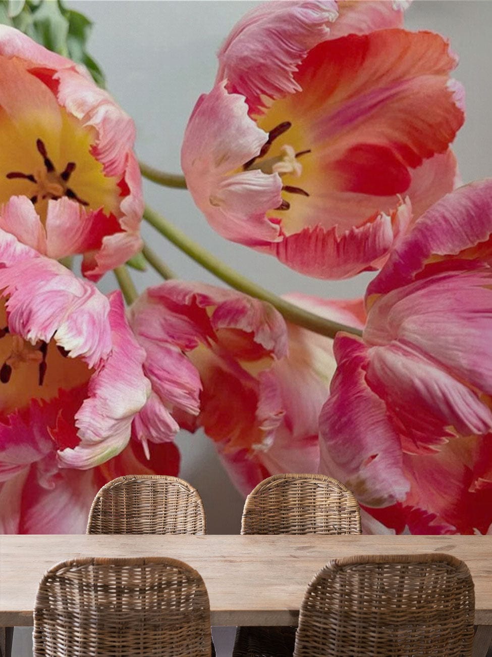 Vibrant pink tulip mural wallpaper in dining room with elegant rattan chairs and wooden table.