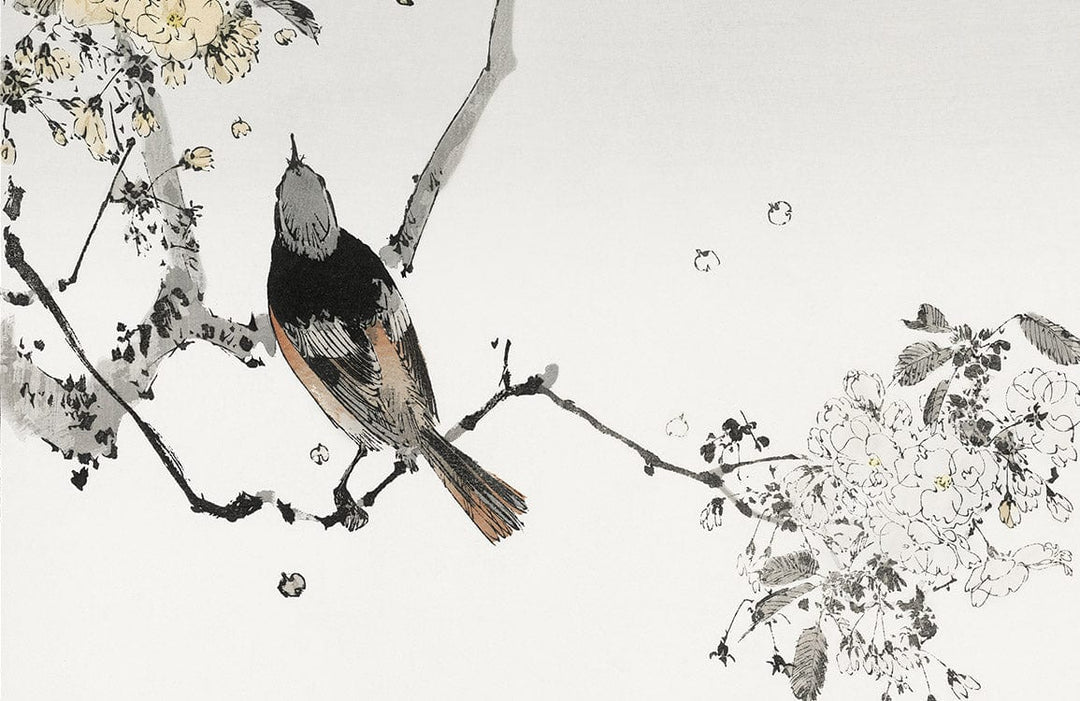 Elegant Oriental Bird Floral Grey Watercolour Mural Wallpaper Art Design