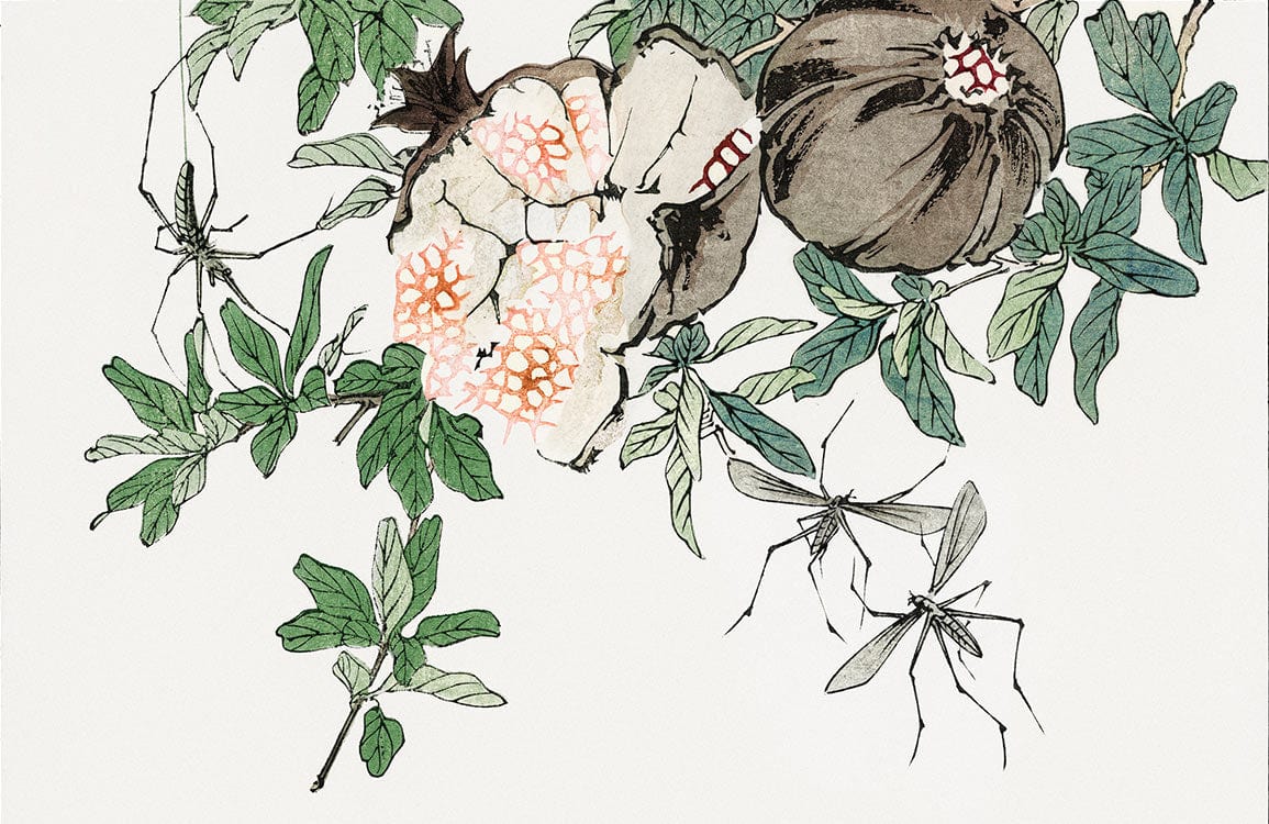 Botanical Pomegranate Nature-Inspired Wallpaper with Insects in Earthy Tones