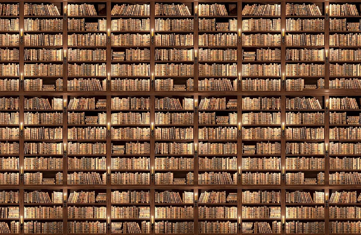 Vintage Brown Bookshelf Pattern Wallpaper - Classic Library Interior Design Decor