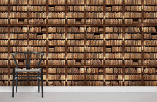 Book Library Wallpaper Mural