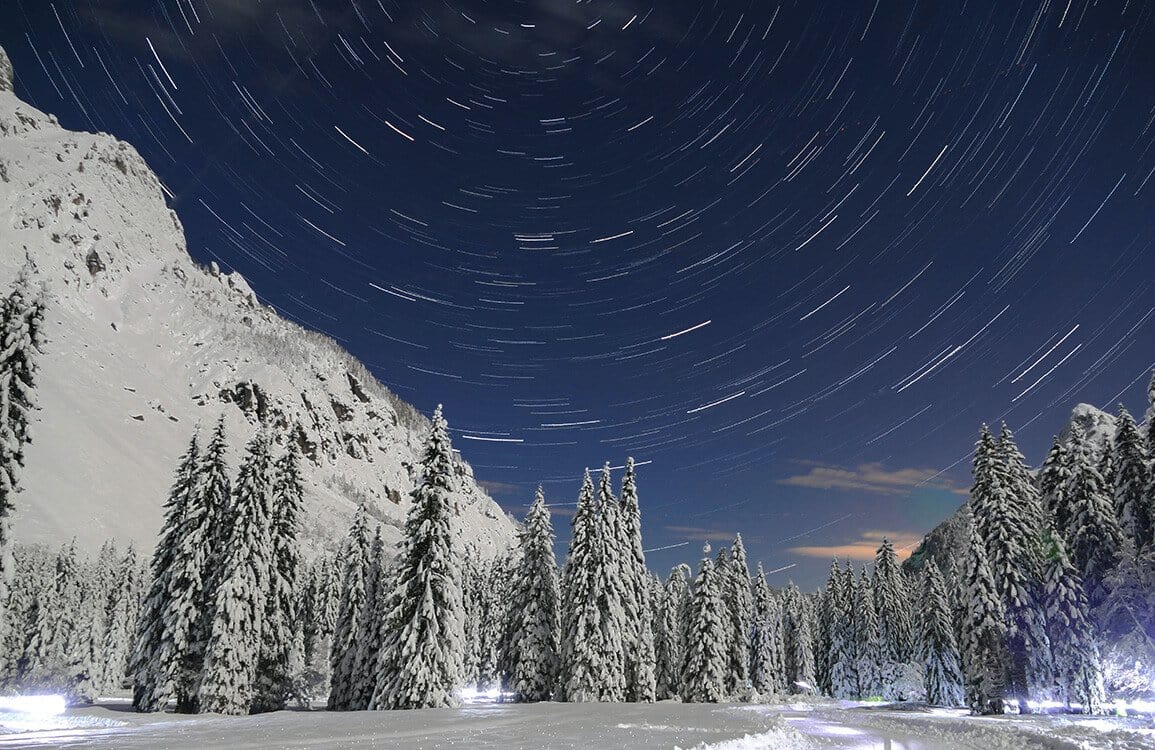 Enchanting Winter Night Sky Mural Wallpaper with Snowy Forest Landscape