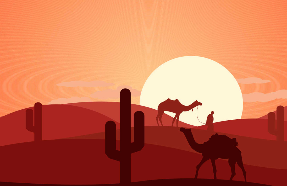 Desert Sunset Silhouette Mural Wallpaper with Camels and Cacti in Orange